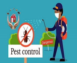 images/offer/pest-control.png